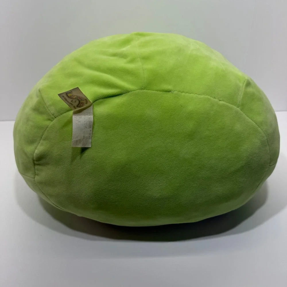 Squishmallows wendy frog